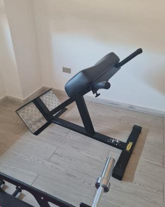 Hyperextension Technogym