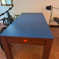 Tavolo da billiardo/ping pong