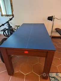 Tavolo da billiardo/ping pong