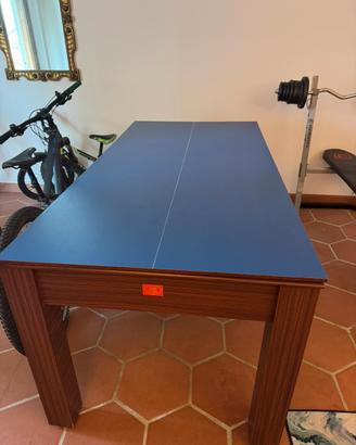 Tavolo da billiardo/ping pong