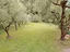 Immagine 4