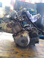 kawasaki klx 250/300