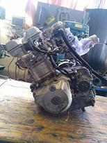 kawasaki klx 250/300