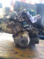 kawasaki klx 250/300