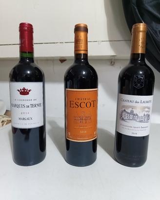 Vini pregati Bordeaux