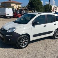 Fiat panda van 4x4 1.3 mjt 2 posti