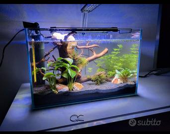 Acquario 20L completo 