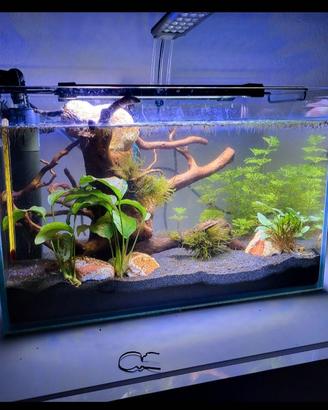 Acquario 20L completo 