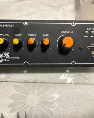 Lotto elettronica Kit DIY AUDIO AMPLIFICATORE mp3
