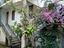 Immagine 6