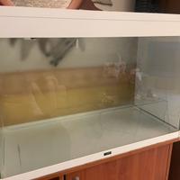 Acquario askoll ciano 150 litri