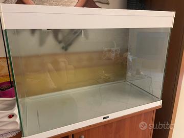 Acquario askoll ciano 150 litri