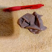 Pietra rosa del deserto e fossile di lumaca