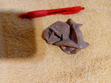 Pietra rosa del deserto e fossile di lumaca