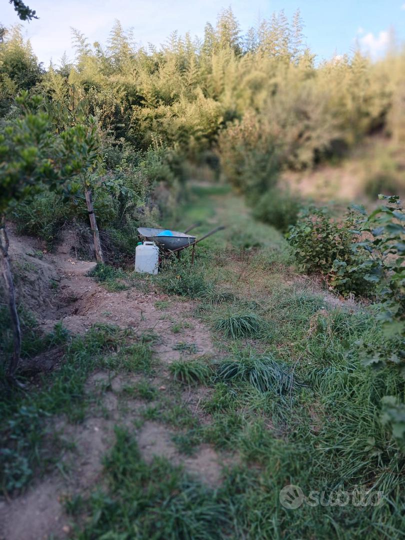 Terreno a Vitorchiano loc. Poggio Pasquale - Vista 5