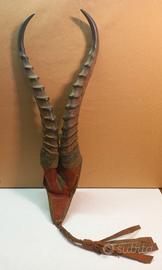 Corna di gazzella del deserto