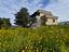 Immagine 28