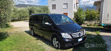 Mercedes Viano