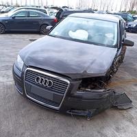 Ricambi usati AIDI A3 8P SPORTBACK 1.9 TDI- BLS
