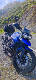 Triumph Tiger 800 XRX Low 2020
