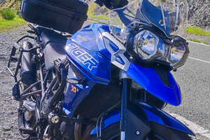 Triumph Tiger 800 XRX Low 2020