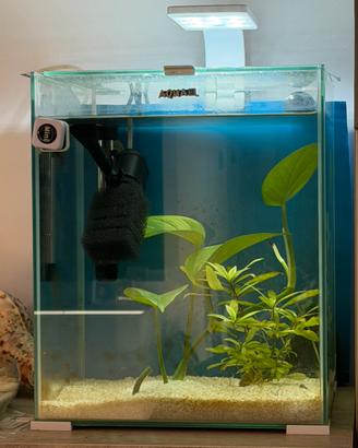 Acquario Acquael 30L