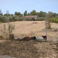 Terreno 1.500 metri quadri