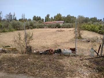 Terreno 1.500 metri quadri