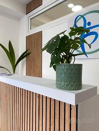 Roma - Stanze professionali in studi avviati