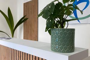 Roma - Stanze professionali in studi avviati