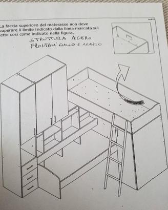 Cameretta paperino