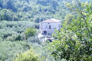 Agriturismo biologico con alloggio e ristorazione-