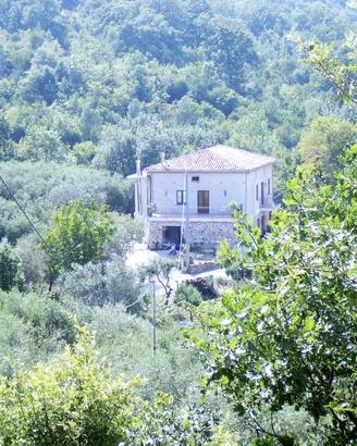 Agriturismo biologico con alloggio e ristorazione-