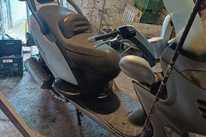 Kimco grand dink 150