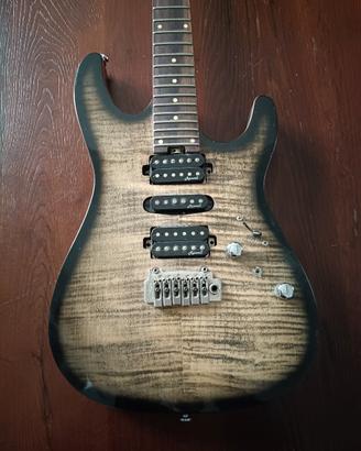 Harley Benton pro series
