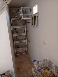 gabbia a colonna 