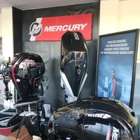 40 cv pro mercury - nuovo in promozione stock