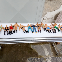 15 Personaggi Wrestling+ring