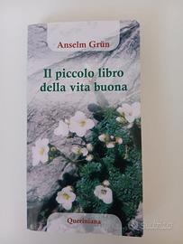 Il piccolo libro della vita buona di Anselm Grun