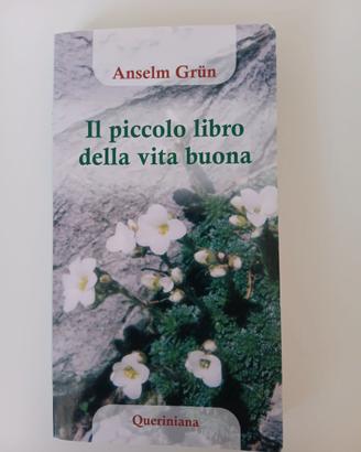 Il piccolo libro della vita buona di Anselm Grun