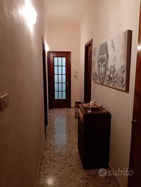 Ultima singola Viale Mario Rapisardi