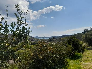 Terreno agricolo panoramico di 3.000 mq a Pozzuoli
