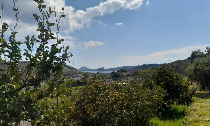 Terreno agricolo panoramico di 3.000 mq a Pozzuoli