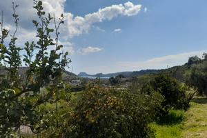 Terreno agricolo panoramico di 3.000 mq a Pozzuoli