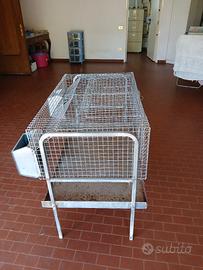 gabbia per conigli