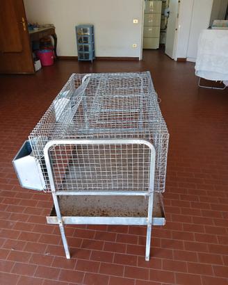 gabbia per conigli