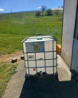 Vasca 1000L
