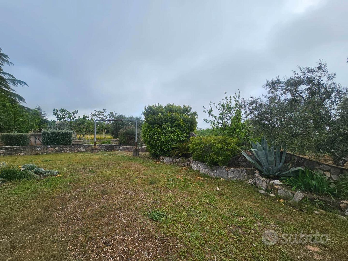 Terreno ideale per deposito BA003776 - Vista 4