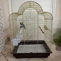 Gabbia grande pappagalli 70x50 - come nuova