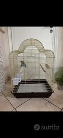 Gabbia grande pappagalli 70x50 - come nuova